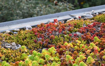 the cost of Cloghy green roof installation