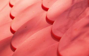 Cloghy plastic roof costs