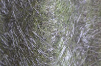 Cloghy fibreglass roof work